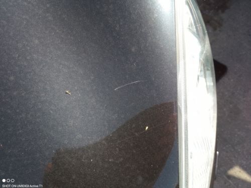 NISSAN QASHQAI TEKNA MK1 (J10) Z11 BLACK BONNET 2006-2008